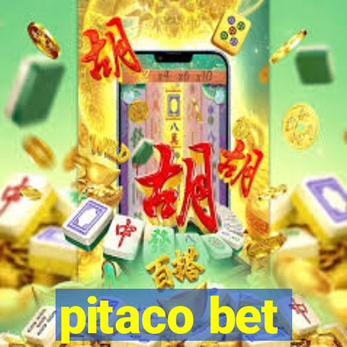 pitaco bet